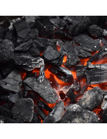 Spécial Professionnel Restauration, charbon de bois Marabu gros